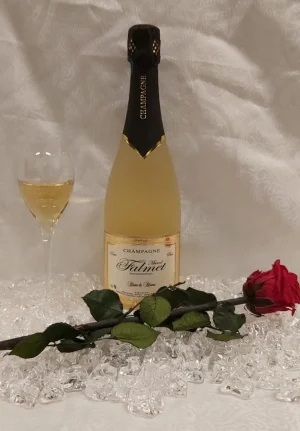 Champagne Blanc de Blancs